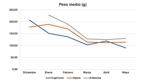 Gráfico que muestra la evolución del peso medio de los pacientes antes de la primera cirugía, después de la primera cirugía, después de la cirugía de conversión y en el seguimiento actual.