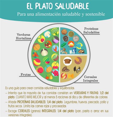 infografía: la idea plato para una alimentación equilibrada