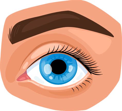 Fotografía de un autobús bloqueando la vista de una casa, listo para ser movido y revelar la renovación de Extreme Makeover: Home Edition.