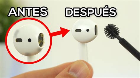 Infografía detallada mostrando cómo limpiar correctamente los AirPods y su estuche de carga, incluyendo diagramas de las partes a limpiar.