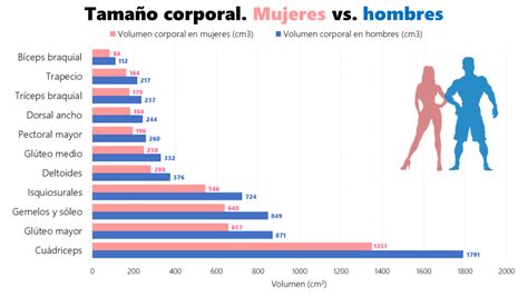 Gráfico comparativo de la participación deportiva entre hombres y mujeres en España