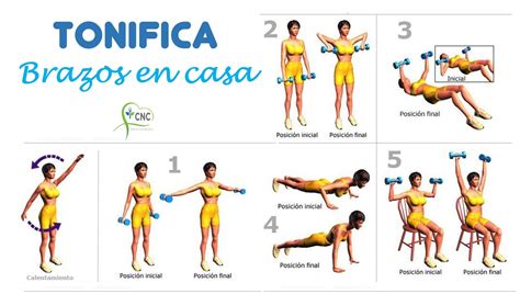 Infografía con 10 ejercicios para tonificar brazos en casa