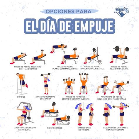 Ilustración de una rutina de entrenamiento dividida en días de empuje, tirón y piernas.