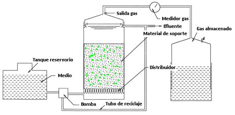 Esquema de un reactor de lecho fluidizado para vaporización de glicerol