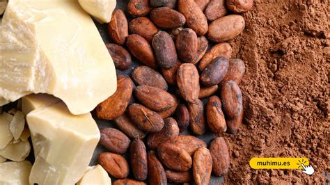 Grano de cacao y manteca de cacao