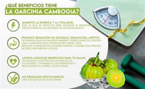 Infografía detallando los beneficios de la Garcinia Cambogia para el control de peso, mostrando la acción del HCA en la supresión del apetito y la quema de grasa.