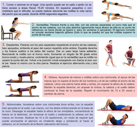 infografía: ejemplos de ejercicios de baja intensidad para recuperación muscular