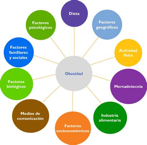 Diagrama de flujo mostrando los múltiples factores que contribuyen al desarrollo de la obesidad.
