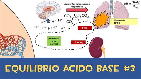 infografía explicando el equilibrio ácido-base en el cuerpo humano y los riñones