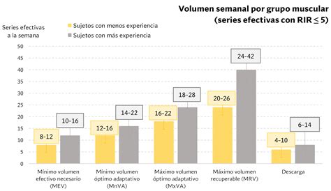 Infografía comparando la ganancia muscular esperada en diferentes grupos de edad.