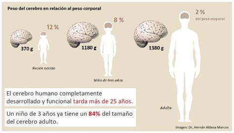 Gráfico que ilustra la relación entre el peso corporal y las calorías gastadas, mostrando la necesidad de ajustes.