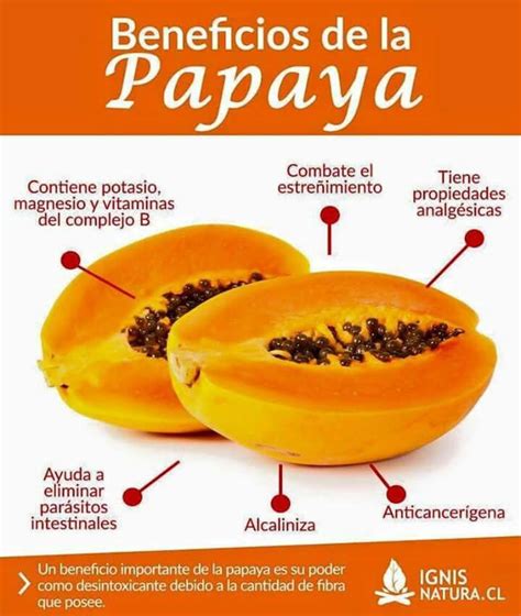 infografía sobre los nutrientes y beneficios de la papaya