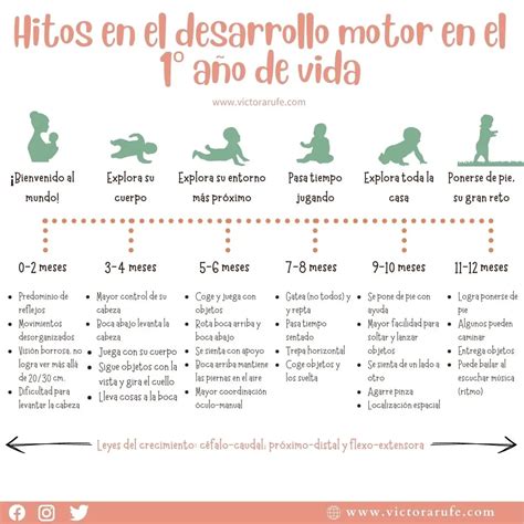 Infografía que muestra hitos del desarrollo motor y cognitivo de un bebé de 7 meses, como sentarse, gatear y entender gestos.