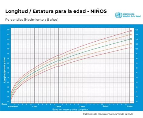 Gráfico de crecimiento para bebés varones, mostrando las curvas de peso y talla para la edad de 7 meses.