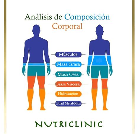 Diagrama del nomograma Biavector® para el análisis de la composición corporal