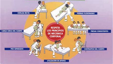 Diagrama que ilustra la movilización de grasa corporal generalizada y no localizada.