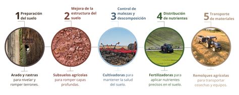Esquema de preparación del suelo para el cultivo de cítricos, mostrando las diferentes capas y la incorporación de materia orgánica.