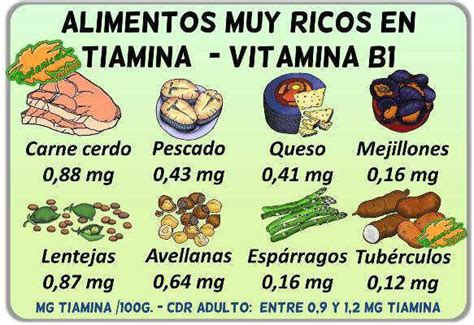 infografía con alimentos ricos en tiamina
