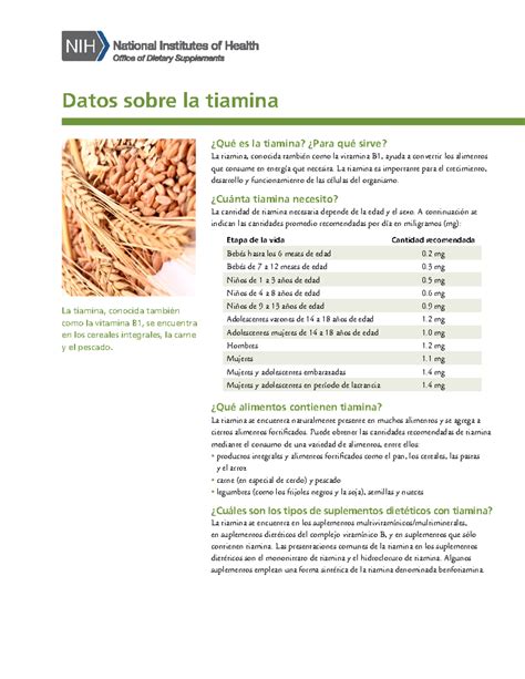 gráfico comparando la absorción de tiamina en dietas refinadas vs. integrales