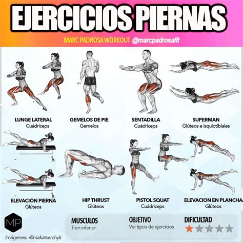 Infografía detallando los diferentes tipos de ejercicios para piernas (fuerza, resistencia, adelgazamiento).