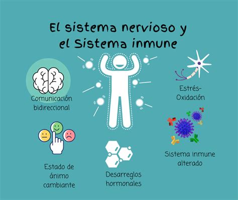 Diagrama que muestra la interconexión entre el sistema nervioso, el sistema inmunológico y el sistema endocrino en el SSC.