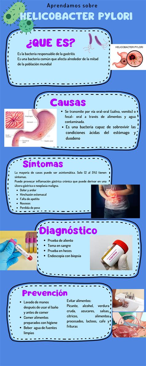 Infografía sobre la bacteria Helicobacter pylori y su prevalencia