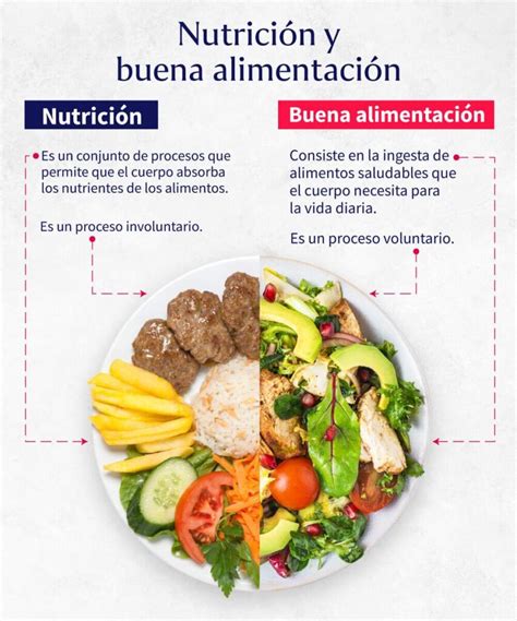 infografía con consejos prácticos para una alimentación saludable y activa