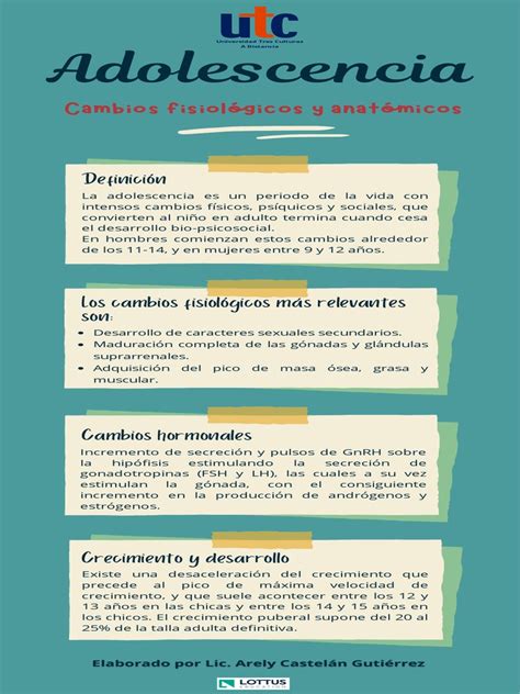 infografía que muestra los cambios en el abdomen después del parto, incluyendo la distensión de los músculos rectos y la acumulación de grasa