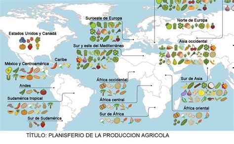 Mapa mundial que muestra los principales países productores de huevos y su importancia en la seguridad alimentaria global.