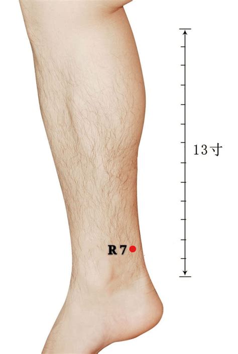 Localización del punto de acupuntura Riñón 7 (Fùliū)