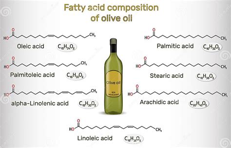 infografía detallando la composición de ácidos grasos del aceite de oliva y su efecto en el metabolismo lipídico.