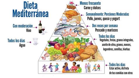 infografía mostrando los grupos de alimentos principales de la dieta mediterránea, con el aceite de oliva en el centro.