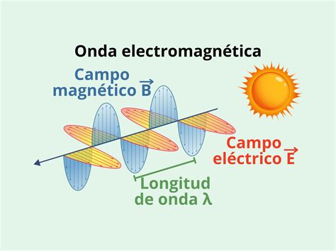Infografía mostrando la acción de las ondas electromagnéticas en el músculo abdominal.