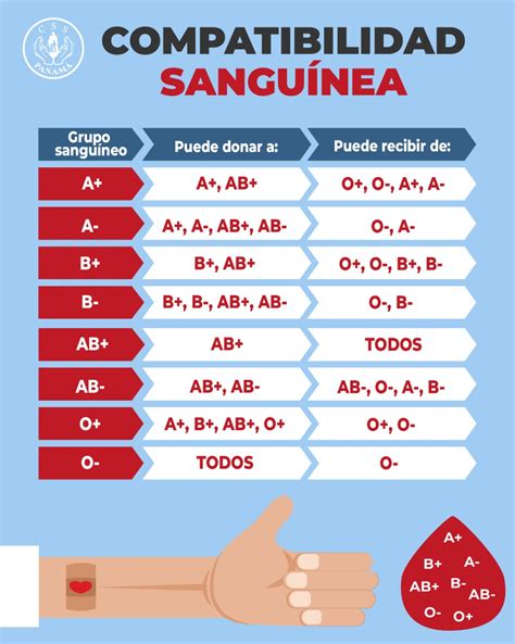 tabla comparativa de los tipos de sangre y su compatibilidad