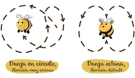 Ilustración detallada de las seis algas principales de la dieta Okinawa, con sus nombres científicos y una breve descripción de sus características.