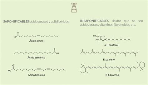 Infografía detallando la estructura molecular del aceite de coco y su penetración en el folículo piloso.