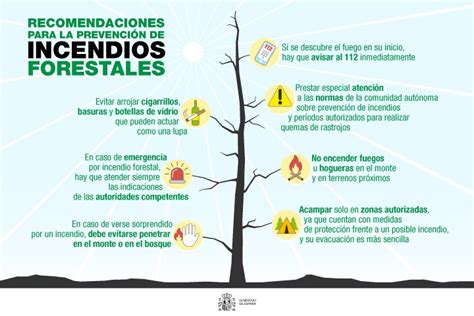 Esquema de medidas de prevención de incendios forestales aplicables al proyecto