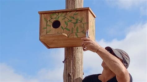 Detalle de las cajas nido para avifauna y su instalación en los apoyos