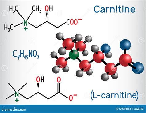Ilustración de la molécula de L-Carnitina