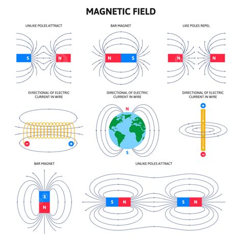 Diagrama esquemático de cómo los campos magnéticos interactúan con las células del cuerpo.