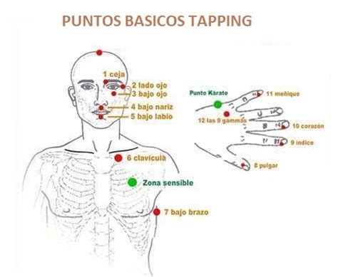 infografía con los puntos clave del tapping en el cuerpo
