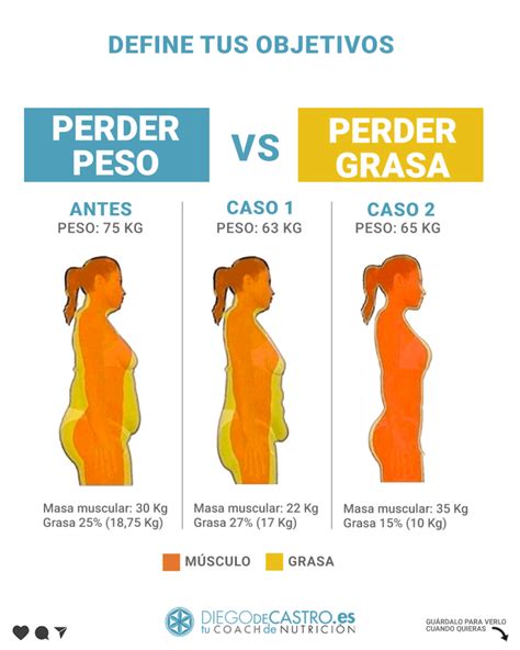 Ilustración comparando la pérdida de grasa, agua y músculo en diferentes tipos de dietas.