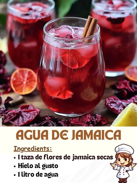 Flores de Jamaica secas y agua infusionada.