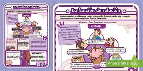 Infografía con la relación entre gigajulios y kilocalorías