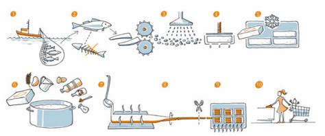 Ilustración del proceso de elaboración del surimi, mostrando la proteína de pescado como base.