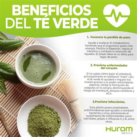 infografía detallando los beneficios del té verde para la quema de grasa