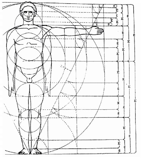 Diagrama ilustrando las proporciones ideales del cuerpo humano según la proporción áurea.