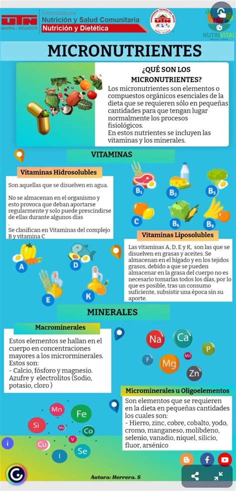 Infografía detallando los macro y micronutrientes de productos populares de McDonald's