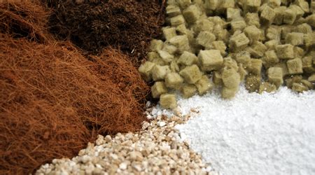 Ilustración que muestra la diversidad de sustratos que son degradados por las hidrolasas lisosomales y las consecuencias de las deficiencias enzimáticas.