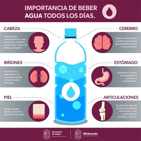 infografía sobre la importancia de beber agua para la salud y la pérdida de peso